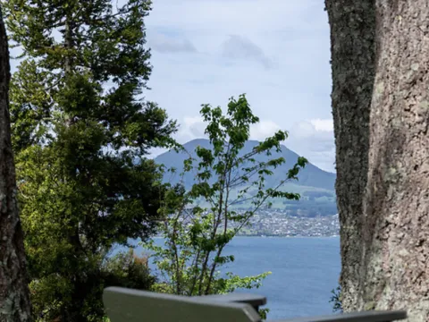 A quiet garden seat between trees overlooking the lake